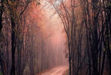 凯利救下点球，带领球队晋级半决赛！