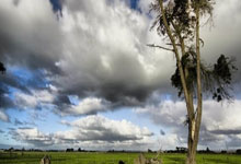 斯里兰卡女篮力战至底，不敌对手：勇气与拼搏的传奇