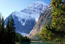 柏林赫塔队外租球员表现抢眼，备受瞩目